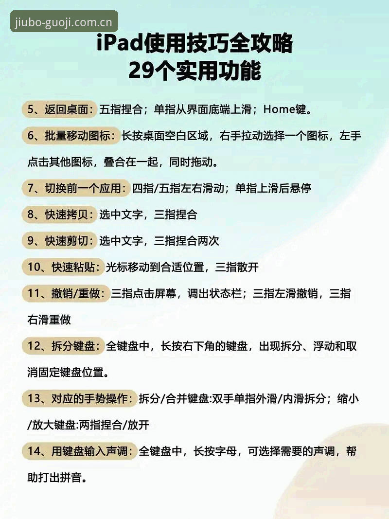 九博国际官方网站选择指南：从入门到精通的完整使用教程