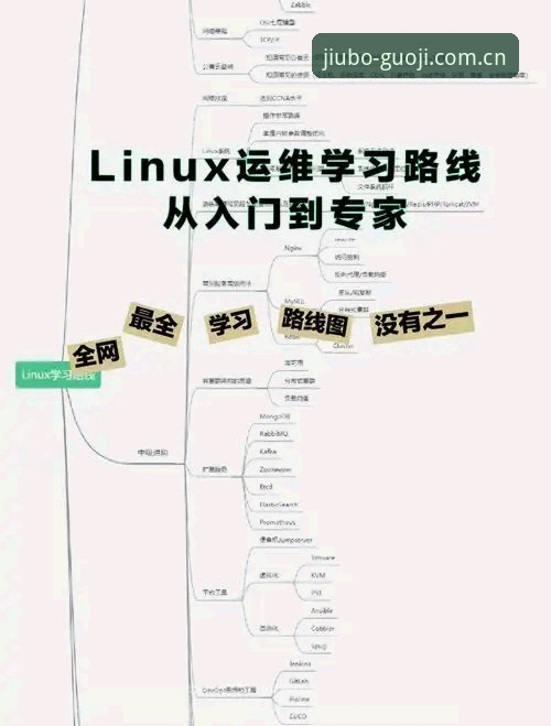 九博国际平台使用教程：从入门到精通的完整操作指南